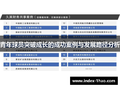 青年球员突破成长的成功案例与发展路径分析