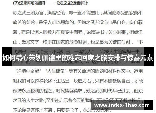 如何精心策划佩德里的难忘回家之旅安排与惊喜元素