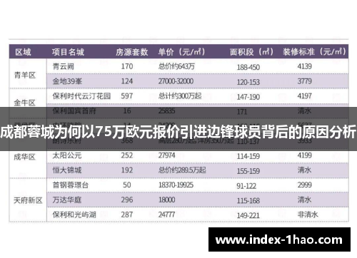 成都蓉城为何以75万欧元报价引进边锋球员背后的原因分析