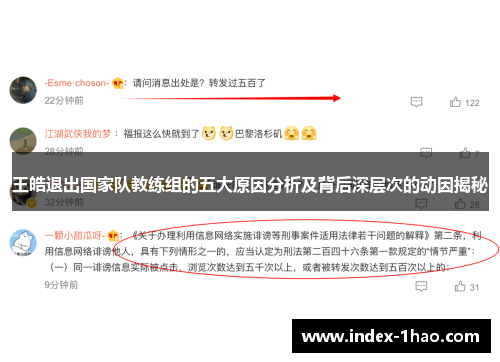 王皓退出国家队教练组的五大原因分析及背后深层次的动因揭秘