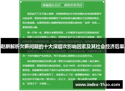 赵鹏解析欠薪问题的十大深层次影响因素及其社会经济后果